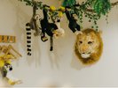 伊豆シャボテン動物公園とコラボしたアニマルルームが誕生♪