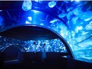 京都水族館