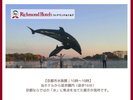 【京都市水族館|10時〜18時】