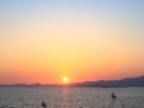 【パームガーデン舞洲からの景色】まるで南国にいるような美しい景色をお楽しみください。