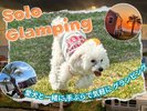愛犬と手ぶらで気軽に楽しむ「ソログランピング」♪