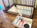ペット用アメニティ