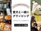 愛犬とグランピング♪【デラックスBBQコース】 2024.11〜