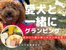 愛犬とグランピング♪【お部屋で朝食付き】