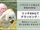 ペット専用トレーラーハウスで愛犬とグランピング♪【バラエティに富んだ充実のBBQを楽しもう!☆2食付き】