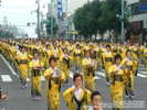 函館港まつりなどで踊られている「いか踊り」は1万人以上が群舞する函館を象徴する踊りになっています。