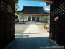 東本願寺函館別院は、歴史的価値が高く、本堂・鐘桜・正門は国の重要文化財に指定されています。