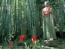 松本峠(ホテルから車で20分):世界遺産・熊野古道伊勢路の石畳が残る、自然豊かな峠道。