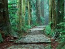 大門坂(ホテルから車で30分):熊野那智大社へと続く参詣道の入口にあたる野古道を代表する石畳の坂道。