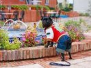 園内は自由にお散歩できます♪(※リードだけは必ず付けて下さい。)