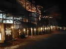 竹灯り25