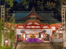 【來宮神社】Kodamaプロジェクト(17時から23時まで点灯)ホテルから車で約5分