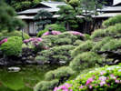 130年以上の歴史を誇る日本庭園