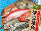夕食バイキングでは伊豆の地魚を4種類日替わりでご提供☆
