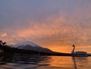 山中湖の遊覧船「白鳥の湖」お子様からお年寄りまで楽しめますよ♪