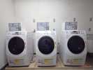 ANNEX�كR�C�������h���[��B1F�ɂ������܂��B