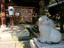 境内あらゆるところにウサギが見られる岡崎神社。
