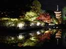 世界遺産・東寺は紅葉の名所。ライトアップも開催されています。