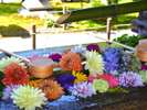 東福寺塔頭の勝林寺の花手水。座禅や写経の体験もできます。