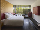 Deluxe Room - King