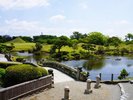 【水前寺成趣園】熊本の歴史を感じながら自然に触れ合う時間をお過ごしください。写真提供:熊本観光連盟