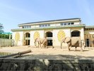【熊本市動植物園】動物だけでなく植物にも触れ合える癒しのスポットです!写真提供:熊本観光連盟