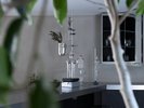 BOTANICAL LAB.