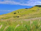 稲取細野高原
