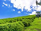 大室山
