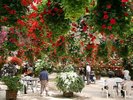 【松江フォーゲルパーク】お車で約15分。国内最大級の花の大温室を持つ、花と鳥のテーマパークです。