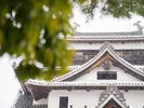 【松江城】のんびり街歩きをしながら約20分。天守閣からは宍道湖や松江の町並を一望できます。