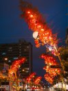 高岡の七夕まつりは8月上旬です♪