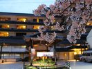 春は当館前の桜並木が満開となります♪