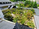 庭園には、緑豊かな植栽、多様な形状の岩、そして静かな池が配置され旅の疲れをいやします