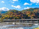 ◇嵐山◇ホテルから約65分