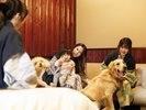 ワンちゃんと一緒に、家族の思い出の一ページを。