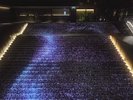 大階段 プロジェクションマッピング