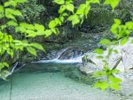 温泉街中央を流れる清流 山上川の川上。散策道沿いなのでお散歩にお出かけ下さい