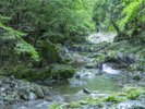 温泉街中央を流れる清流 山上川の川上。散策道沿いなのでお散歩にお出かけ下さい