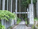 大峯山参詣道。今なお女人禁制の修験の山です