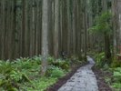 大峯山参詣道。今なお女人禁制の修験の山です