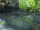 名水100選に選出されている「ごろごろ水」