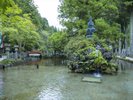 龍泉寺には初夏 蛍が飛びます