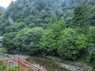 山上川の清流と緑豊かな景観。川側客室からの眺め
