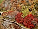 川側客室からは秋美しい紅葉が見ることが出来ます