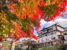 例年11月初旬頃から紅葉見頃シーズンとなります