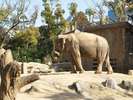 天王寺動物園