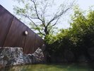 新緑がまぶしい露天風呂