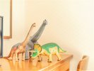 【3人部屋の恐竜ルーム・306】シングルベットが3つ並んだブラキオサウルスのお部屋です。