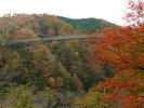 【鬼の舌震・恋吊り橋(秋)】当館から車で約15分「鬼の舌震」にある橋長160m・高さ45mの吊橋!